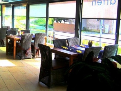Foto:  Rebstock