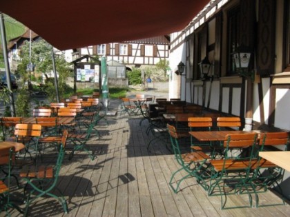 Foto:  Rebstock
